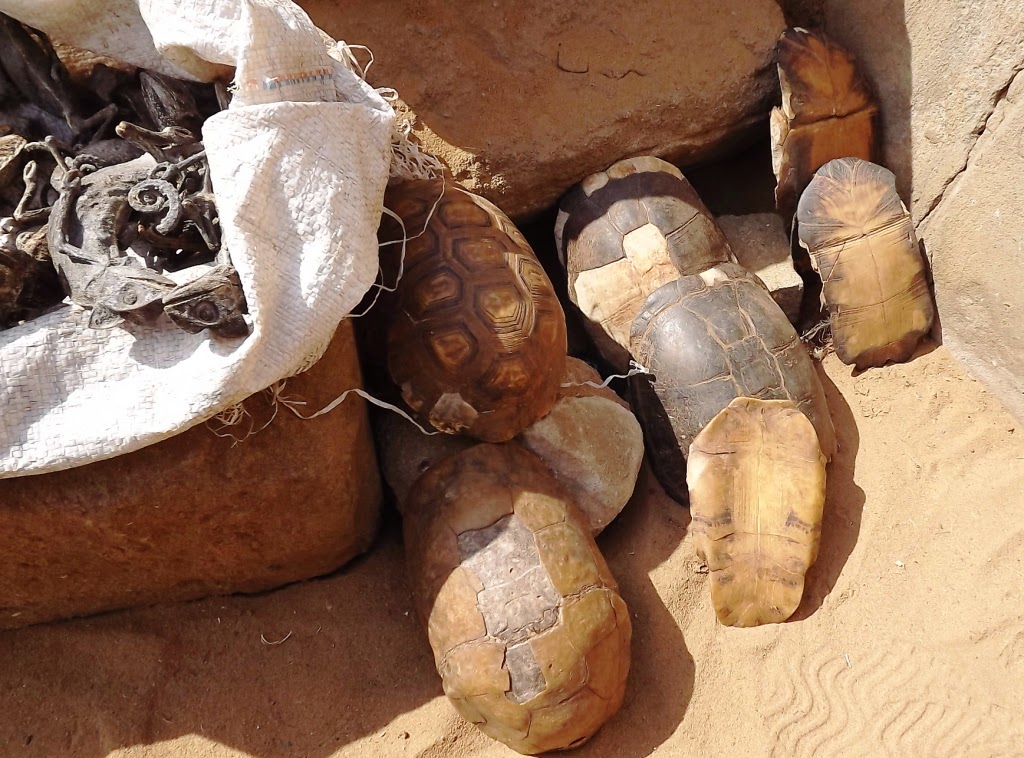 Segniagbeto et al   01